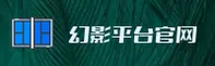 使用指南与常见问题